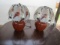 2 Lamps W/ Glass Pictured Panel Shades   (LOCAL PICK UP ONLY)