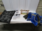 Halloween Lot: Ladies Medievil Dress, Lighted Skull And Hands, Spider Web Backing And