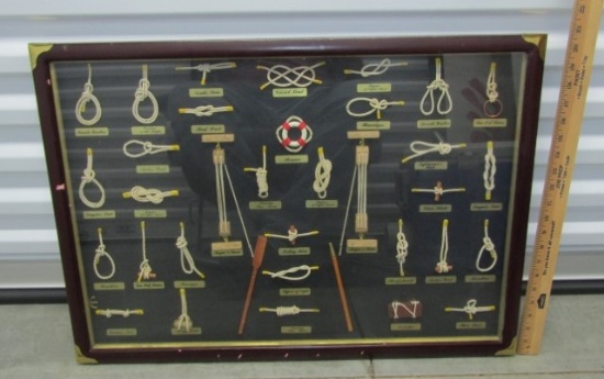 Framed W/ Glass Front Nautical Knots Display