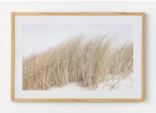 36" X 24" Grassy Dune Framed Wall Art ( No Shipping)