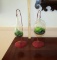 2 Glass Terrariums W/ Stands