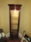 Antique Mahogany Curio Cabinet W/ Light And Glass Shelves NO SHIPPING