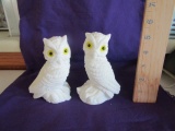 2 Owls With Glass Eyes