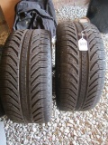 Pair - Michelin Tires 245-25 Tires