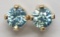 14kt Yellow Gold Blue Zircon Screw Back Earrings