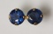 14kt Yellow Gold Sapphire September Birthstone Earrings