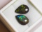 2 Genuine Canadian Ammolite Tear Shaped Pieces Gemstones