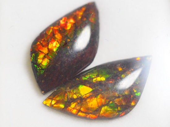 Genuine Canadian Ammolite 2 Pieces Gemstones