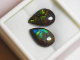 2 Genuine Canadian Ammolite Tear Shaped Pieces Gemstones