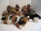 Lot - 4 Brass Button Bears Premiere Collection 