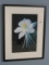 Columbine Flower Artist Signed Photograph W. Drury in Black Frame/White Matt