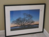 Autumn Dusk Tree Horizon Landscape Scene Artist Signed W. Drury in Black Frame/White Matt
