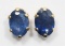 10kt Gold Sapphire Earrings