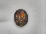 Genuine Canadian Ammolite