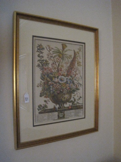 "December" Botanical Flowers of The Month Print From The Collection of Robert Furber