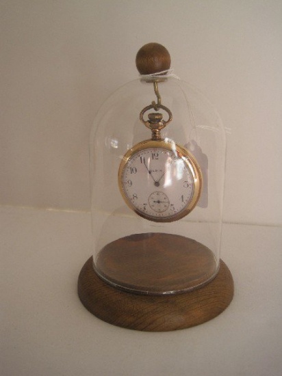 Elgin Pocket Watch Illinois Watch Case Co. w/ Dome Display Stand