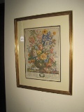 June Botanical Flowers of The Month Print From The Collection of Robert Furber