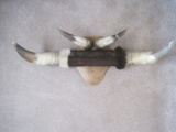 Mounted Bull/Steer Horns (Ready for your Man Cave/Cabin)