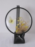 Yellow Butterfly & Silk Flowers in Convex Glass Frame w/ Stand