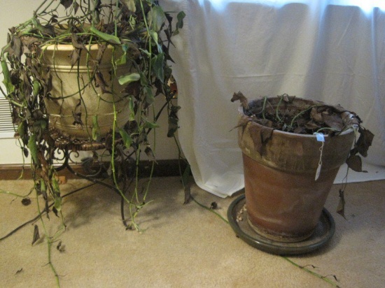 Lot Plant Stand & 2 Planters