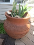 Terra Cotta Pottery Planter w/ Traditional Embossed Design & Iris Plants
