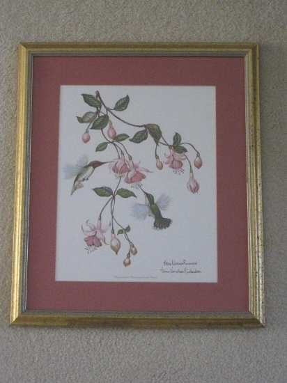 "Ruby Throated Hummingbird & Fuchsia" Artist signed Anne Worsham Richardson Print
