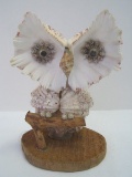 Novelty Souvenir Sea Shell Owl Figure on Wood Base