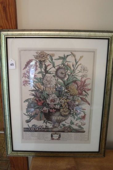 Scientific/Ornate Floral Print by M. Fletcher in Gilted Frame/Matt