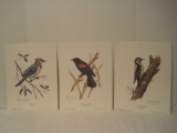 Lot - 3 Song Bird Series Artist Signed Thomas A. Bennett Limited 208/225 Edition Prints