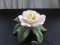 Ceramic White Tulip Table/Mantle Décor