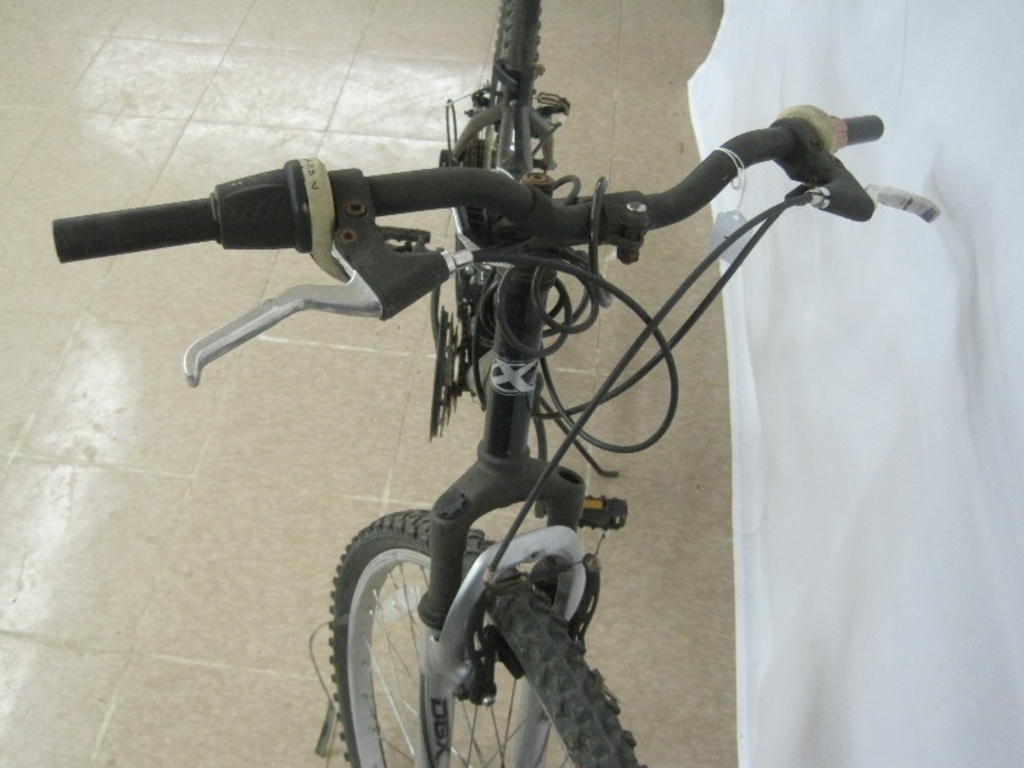 dbx resonance mountain bike 24