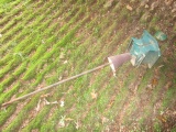 Metal/Green Bird Feeder on Metal Pole, Open Top