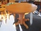 Oak Pedestal Round Table