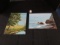 Pair - Oil on Canvas Sea Scene & Tree/River Scene