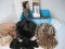 Lot - Ladies Faux Fur Hat, Winter Collection Set Hat, Gloves & Scarf Fur Trim