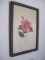 Botanical Camellia-Japonica Watercolor by Artist John Illges in Black Mid-Century Frame