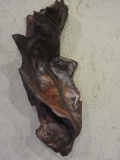 Driftwood Decorative Wall Accent Deep Rick Colors