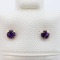 14K Yellow Gold Amethyst Screwback Stud Earrings