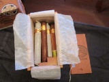 Partagas No.1 Box w/ Cigar Sampler Lot - 3 La Habanera, 1  Hamilton House Selection