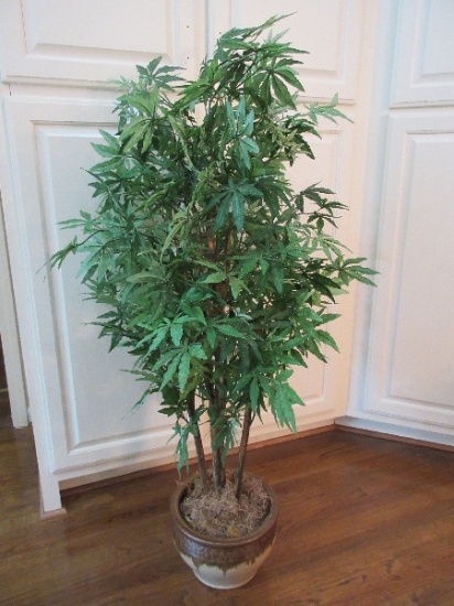 Japanese Silk Maple Tree in Pottery Planter Relief Foliate Band Pattern Drip Glaze Matt Finish