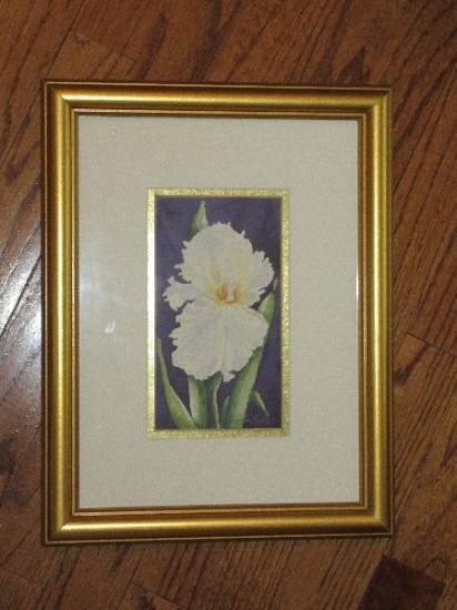Still Life Bearded Iris Original Watercolor Artist Signed Rhonda Casto in Gilded Frame/Matt