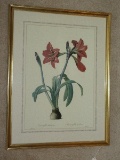 Botanical Amaryllis Flower Bulb Print in Antiqued Gilted Patina Frame