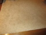 Brown/Tan Color Area Rug