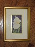 Still Life Bearded Iris Original Watercolor Artist Signed Rhonda Casto in Gilded Frame/Matt