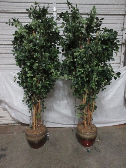 Pair - Tropical 87" Silk Plants w/ Clear Lights in Drip Glaze Jardinières