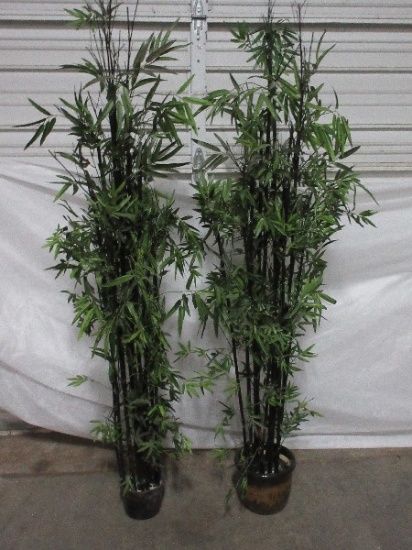 Pair - Black Bamboo 6ft Silk Trees 1 in Brown Glaze Pottery Planter