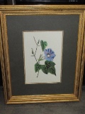 Botanical Morning Glory Flower Print in Decorative Molding Frame Antiqued Patina/Matt