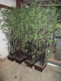 8 Silk Bamboo 7' Trees in Planters