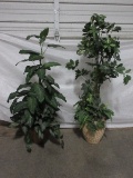 2 Silk Tropical Plants in Textured Dimple Design/Ring Band Design Planters