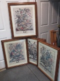 Set - 4 Seasons Botanical Flowers Collection Prints by Robert Furber, Gardener at Kensington